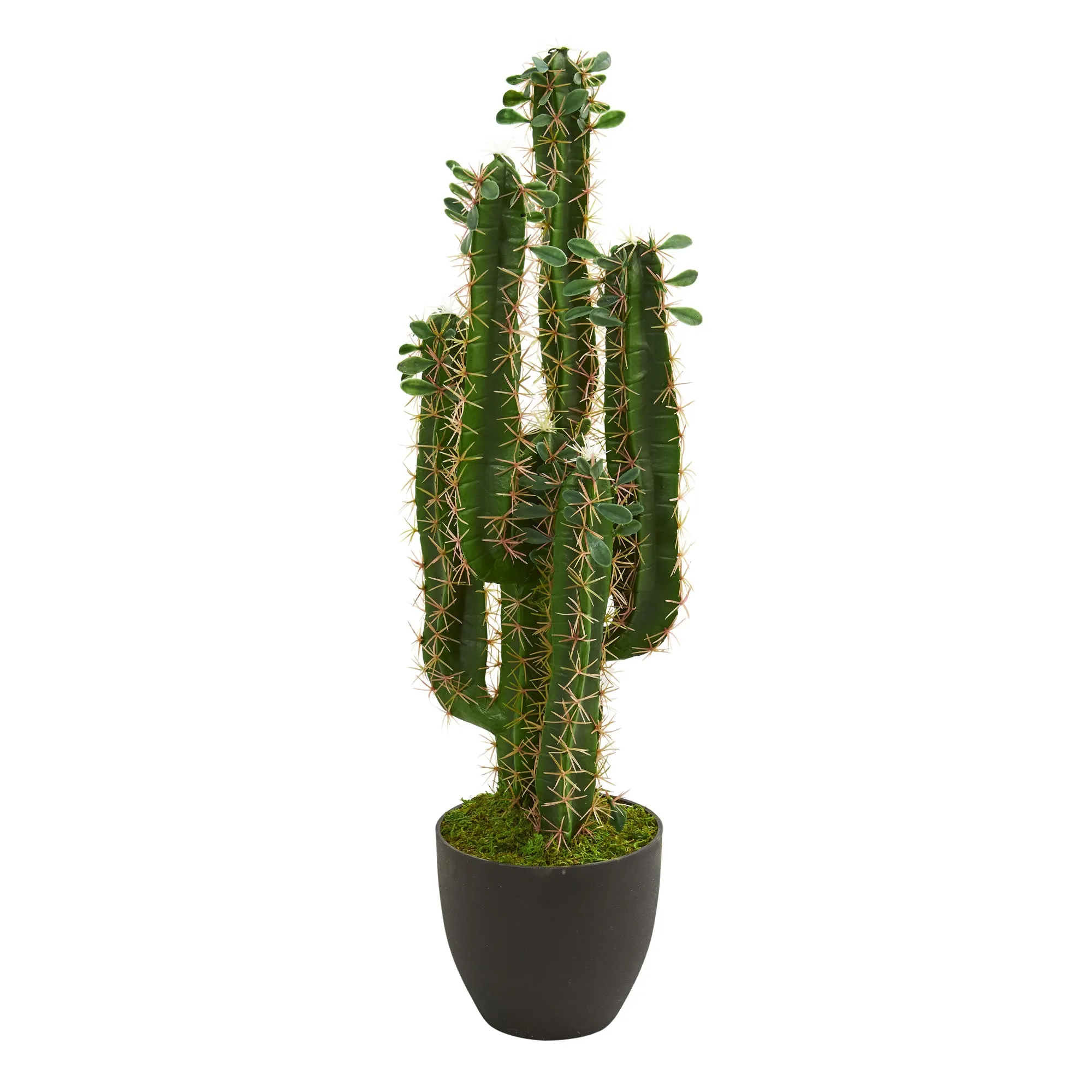 2.5' Artificial Cactus w/Planter - Low Maintenance, Life-Like & Vibrant Silk Plants For Busy People.