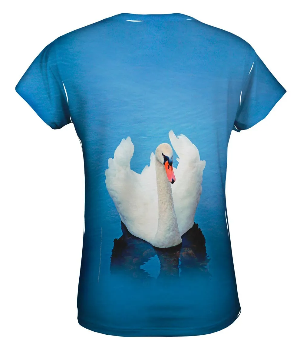 Beauty Swan