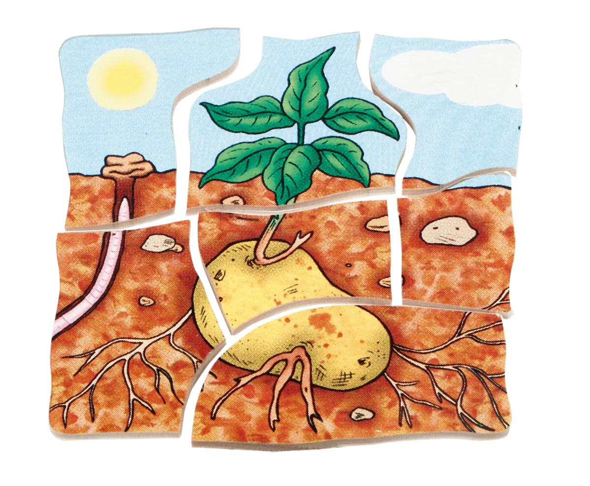 Beleduc Layer-Puzzle Potato 土豆生長多層情景找找看拼圖