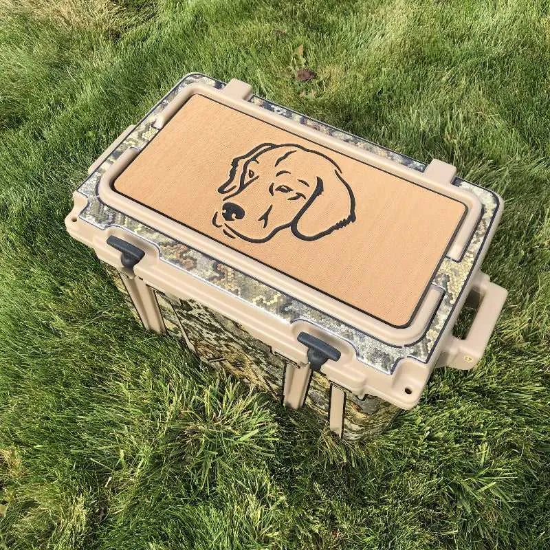 Labrador - SC/DG