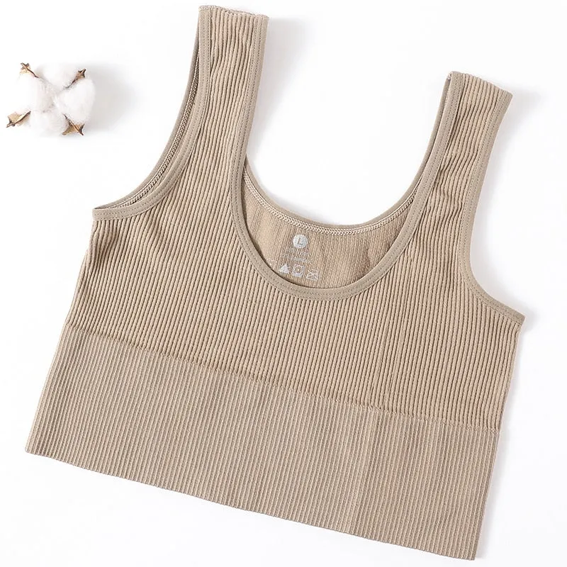 Ribbed Seamless Tank Crop Top