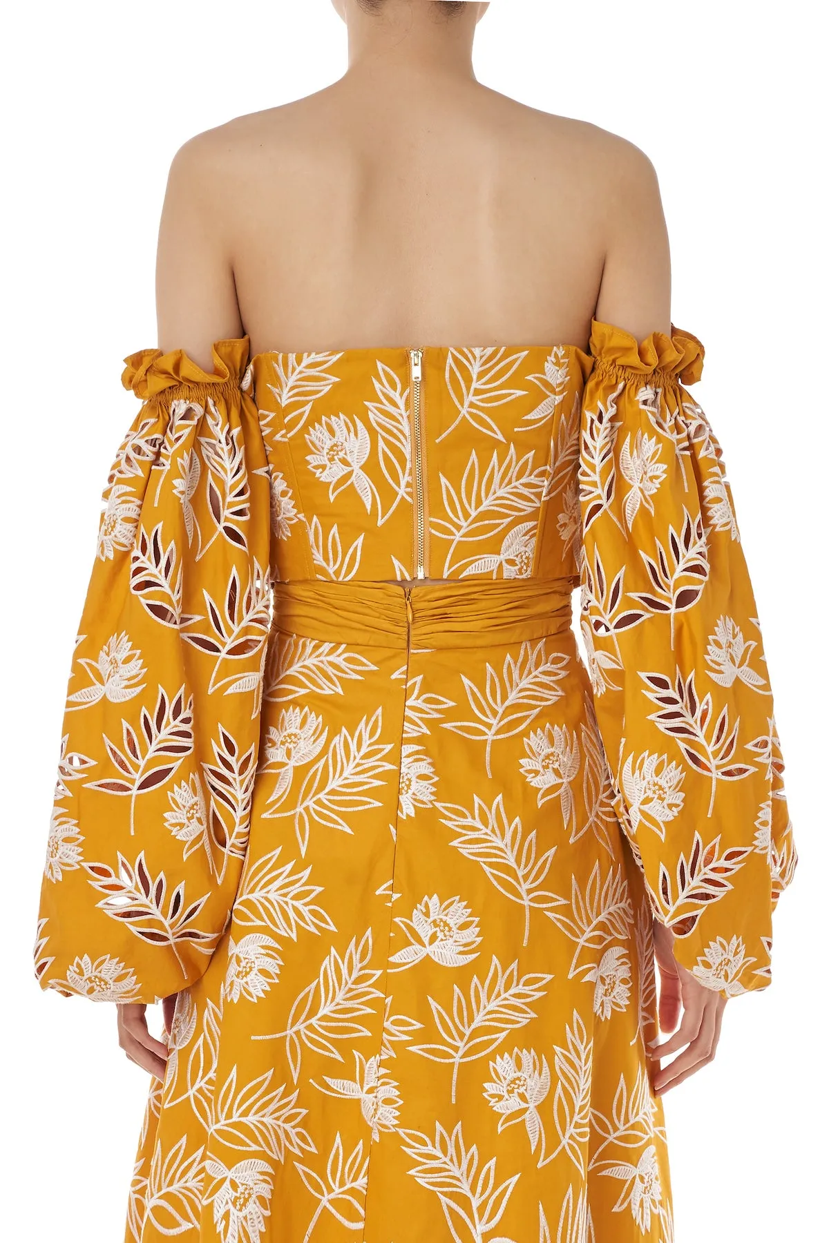 Virginia Top
