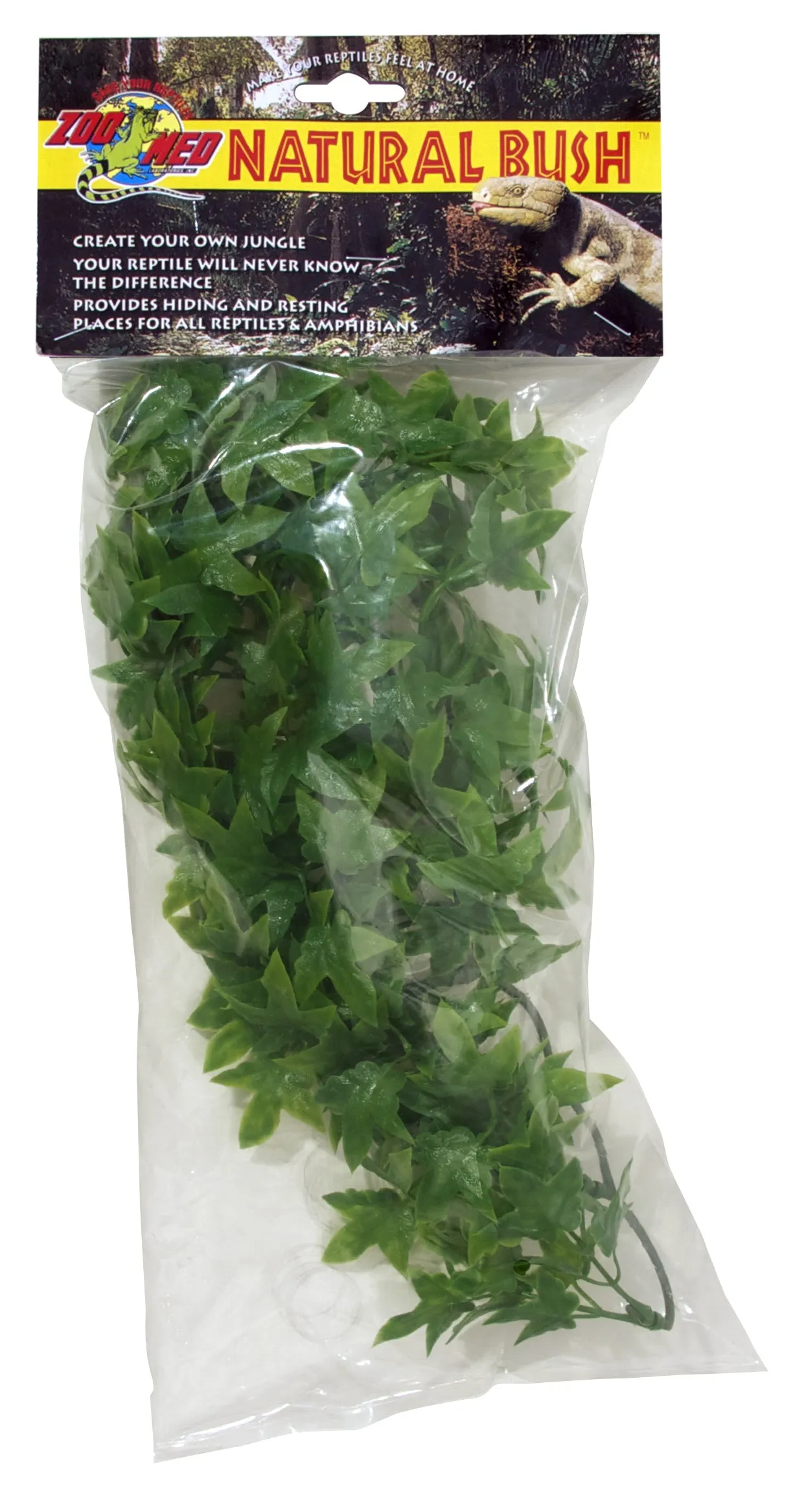 Zoo Med Natural Bush Plant Congo Ivy