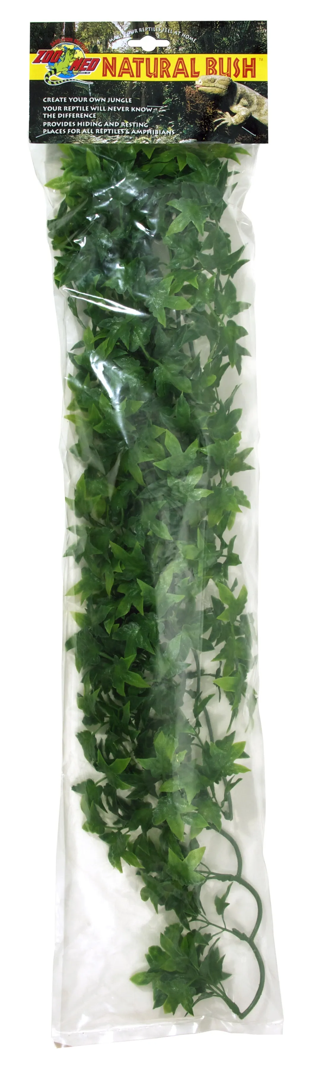 Zoo Med Natural Bush Plant Congo Ivy